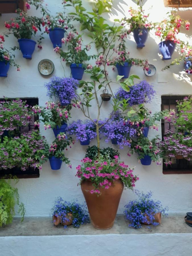 Apartamento La Estrella Córdoba Buitenkant foto